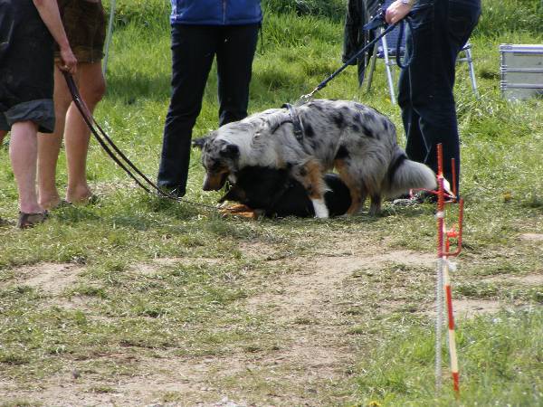 2008-SF-Treffen0156