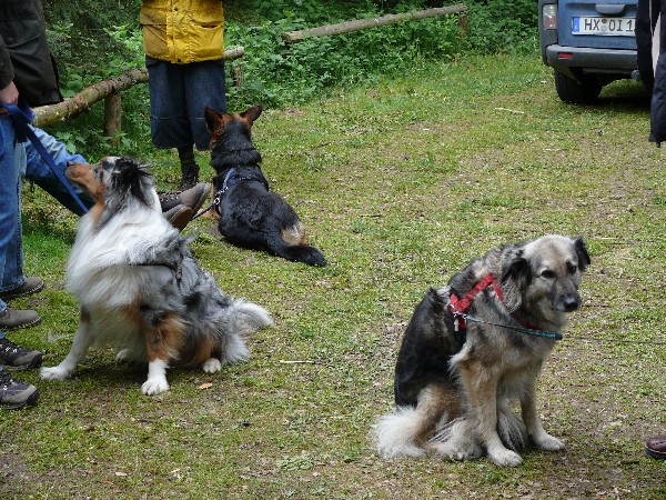 2010-SF-Treffen-Daniel-109