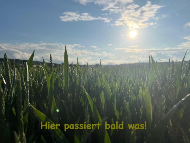 Fynn - Brakelmania 2025 002