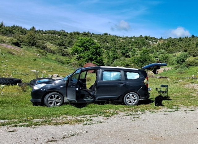 Ich mag keine - Elvira 005