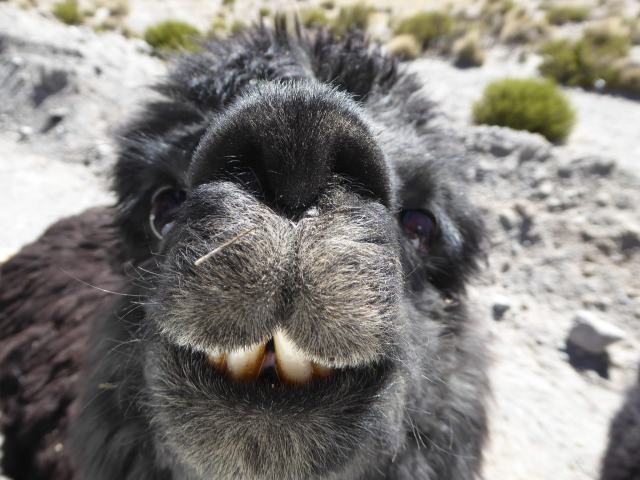 Mal oben - Mal unten Udo 004